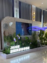 -深圳美莱医疗美容医院