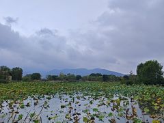 -长兴太湖图影湿地文化园