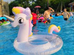 -苏州乐园森林水世界