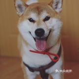 要去上班了，蛋卷什么的做法下次再介绍啦