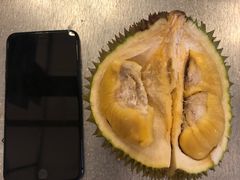 -都念榴莲·城市榴莲