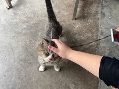 -骑龙海鲜酒家