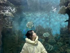 -苏州海洋馆