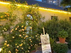 -Jo's Garden