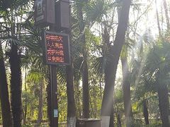 -合肥滨湖国家森林公园