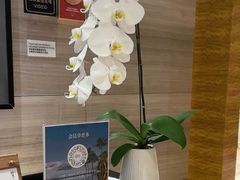 -青岛富力艾美酒店-乐美中餐厅创意胶东菜