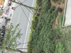 -V-ONE西雅图海鲜自助餐厅(仓山万达广场店)