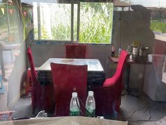 -同銮特种养殖场·龙虾垂钓