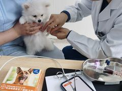 -谐和贝康宠物医院24小时·宠保定点(急重症转诊中心)