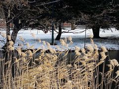 -北海道厅旧本厅舍(旧本庁舎)