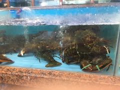 -渔人湾码头海鲜市场负二楼