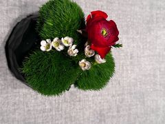 -南堂馆·新川菜(春熙路店)