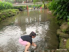 -重庆彩云湖湿地公园