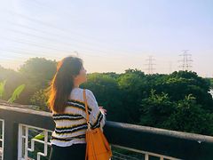 -小洲村
