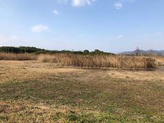 -良渚古城遗址公园