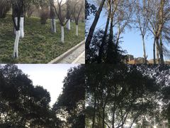 -西安市长乐公园