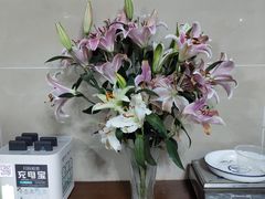 -欣怡茶庄·始于1999(梅家坞店)
