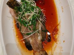 -大东海海鲜酒楼(渔人码头总店)