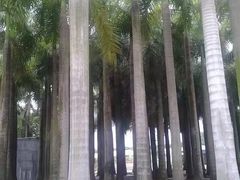 -深圳国际园林花卉博览园