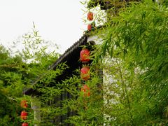 -沙家浜风景区