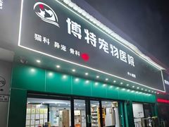 -博特宠物医院24h犬猫全科.骨科·异宠