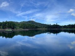 -海南热带雨林国家公园吊罗山景区