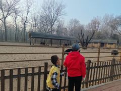 -秦皇岛野生动物园