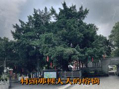 -长洲岛