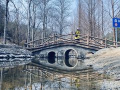 -白水寺森林公园