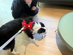 -山下C5cafe(惠通时代广场店)