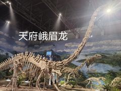 -自贡恐龙博物馆