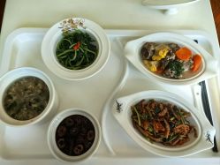 -菁幼月子会所(儿童医院店)