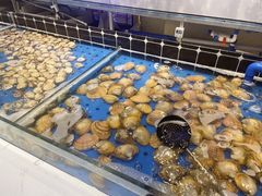 -川骄海鲜自助(河东店)