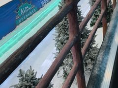 -世界之窗阿尔卑斯冰雪世界