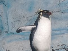 -海合安青岛极地海洋公园