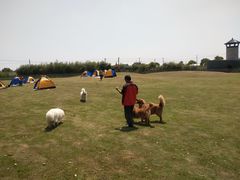 -上海多利农业发展有限公司