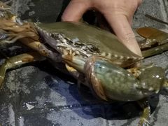 -阳江餐厅·30年老字号·粤菜海鲜大排档