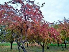 -长春公园(普阳街道)