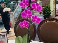 -金河半岛园林酒家(金融城店)