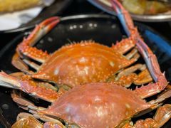 -连锦记海鲜烧烤大排档·锦州特色(西安路交大店)