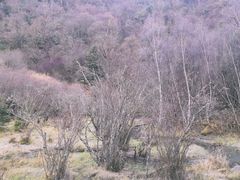 -叠溪松坪沟景区