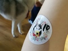 -Husky Go! 哈士奇体验馆·宠物咖啡厅狗咖