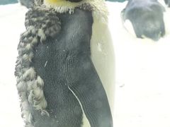 -珠海长隆海洋王国
