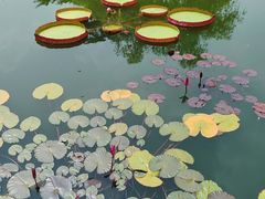 -国家植物园南园