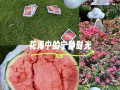 -大关公园