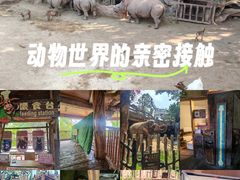 -长鹿旅游休博园