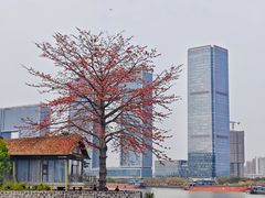 -喜洲吧·江畔老船厂·庭院餐厅(喜临院店)