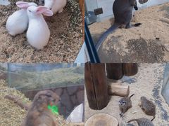 -海合安武汉极地海洋公园