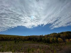 -塞罕坝国家级自然保护区