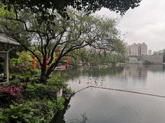 -荔湾湖公园